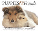 Book cover of: Puppies Friends Box Calendar 2026