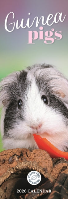 Book cover of: Guinea Pigs Slim Calendar 2026
