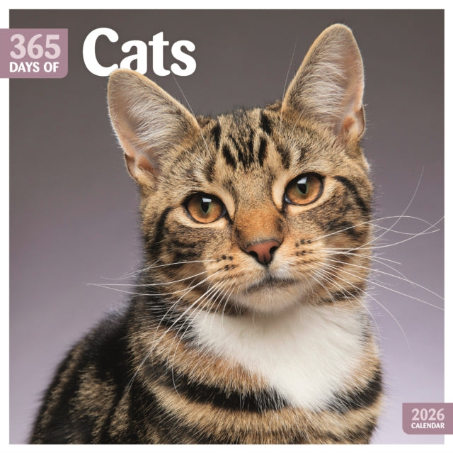 Book cover of: Cats 365 Days Square Wall Calendar 2026