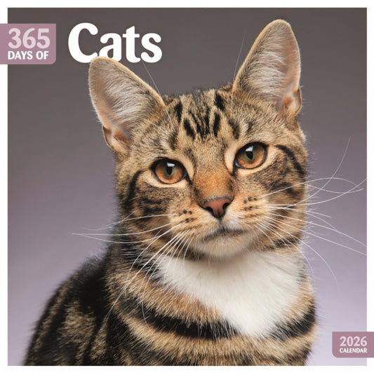 Book cover of: Cats 365 Days Square Wall Calendar 2026