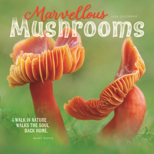 Book cover of: Marvellous Mushrooms Square Wall Calenda