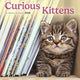 Book cover of: Curious Kittens Square Mini Sunday Start