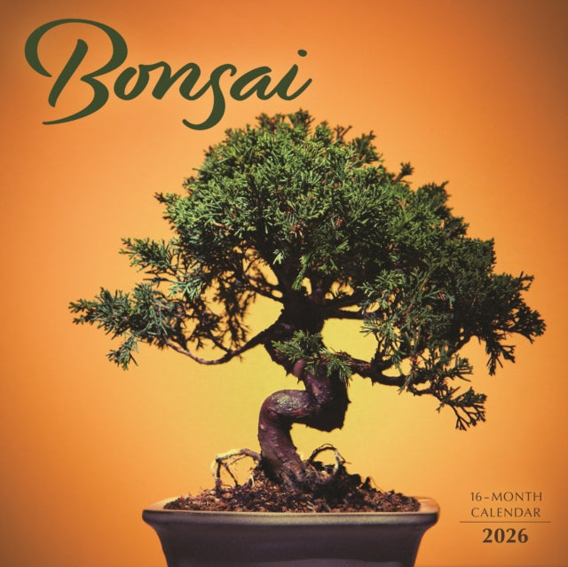 Book cover of: Bonsai Square Wall Sunday Start Calendar