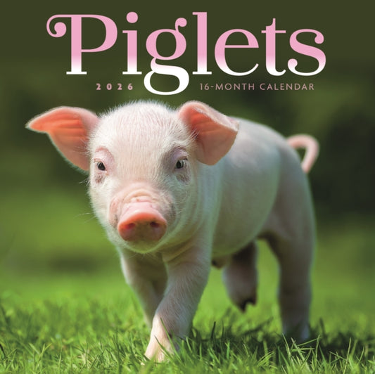 Book cover of: Piglets Square Mini Sunday Start Calenda