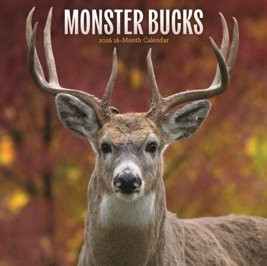 Book cover of: Monster Bucks Square Wall Sunday Start C