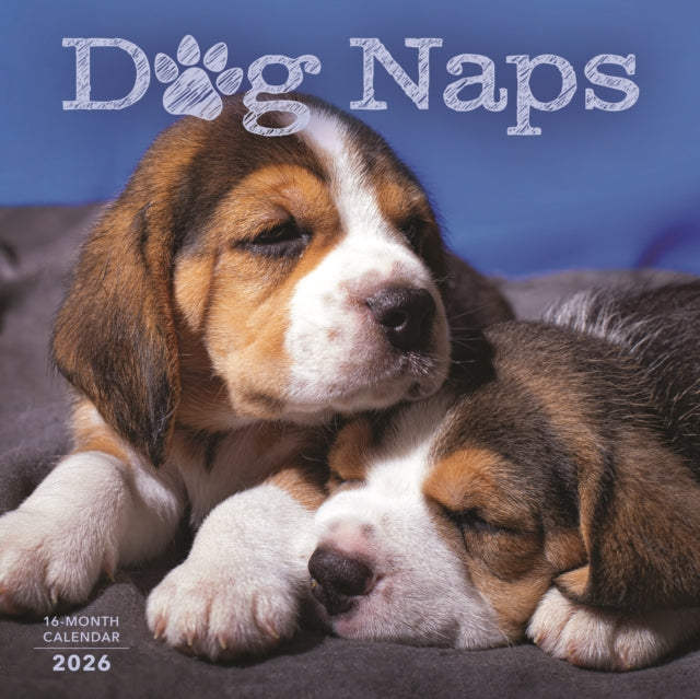 Book cover of: Dog Naps Square Wall Sunday Start Calend