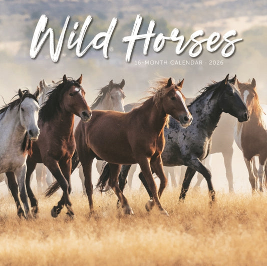 Book cover of: Wild Horses Square Wall Sunday Start Cal