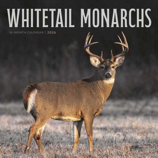 Book cover of: Whitetail Monarchs Square Wall Sunday St