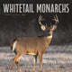 Book cover of: Whitetail Monarchs Square Wall Sunday St