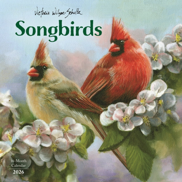 Book cover of: Victoria Schultz Square Mini Sunday Star