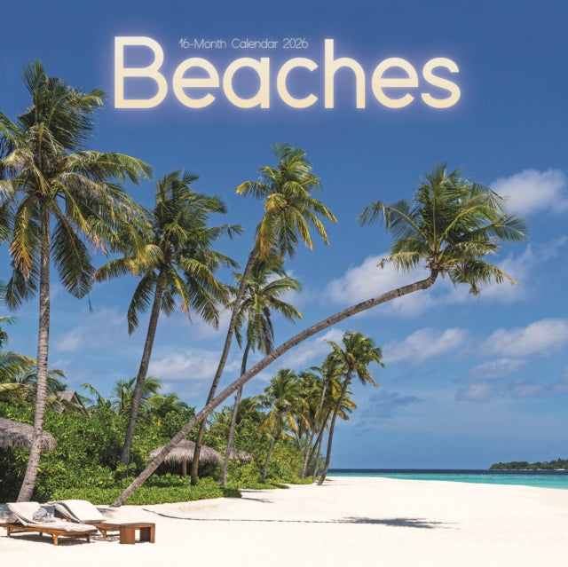 Book cover of: Beaches Square Wall Sunday Start Calenda