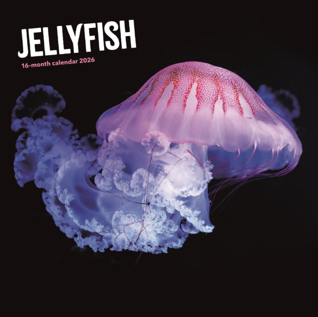 Book cover of: Jellyfish Square Wall Sunday Start Calen