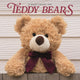 Book cover of: Teddy Bears Square Wall Sunday Start Cal