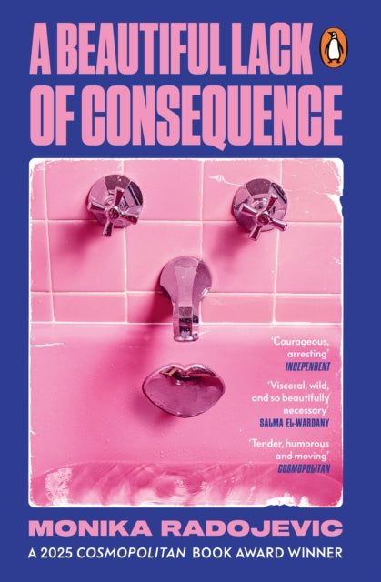 Book cover of: Beautiful Lack of Consequence
