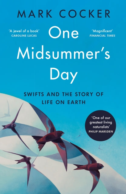 One Midsummer's Day, Swifts and the Story of Life on Earth 9781529921991 Mark Cocker