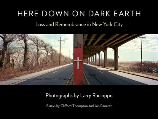 Book cover of: Here Down on Dark Earth. By: Larry Racioppo