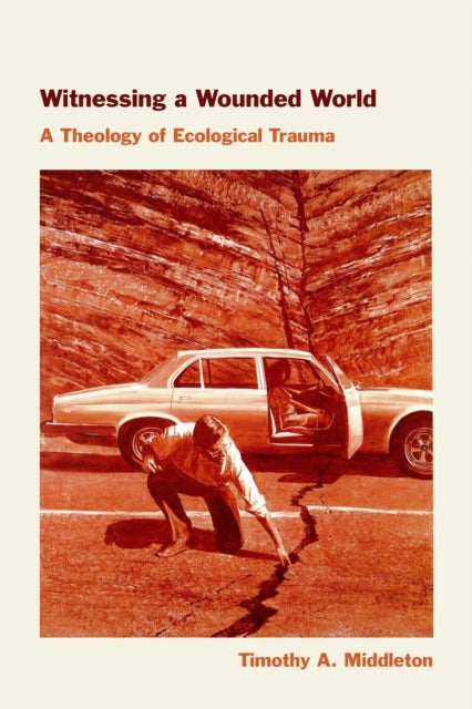 Book cover of: Witnessing a Wounded World