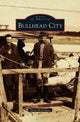 Book cover of: Bullhead City. By: Shirin McGraham