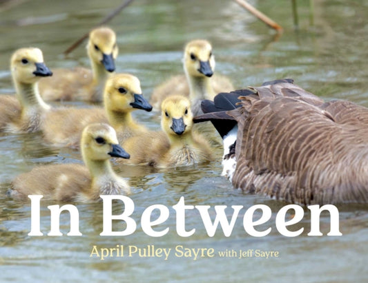 Book cover of: In Between. By: April Pulley Sayre