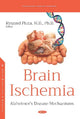 Book cover of: Brain Ischemia. By: Ryszard Pluta