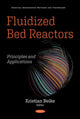 Book cover of: Fluidized Bed Reactors. By: Kristian Beike