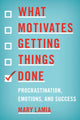 Book cover of: What Motivates Getting Things Done. By: Mary Lamia