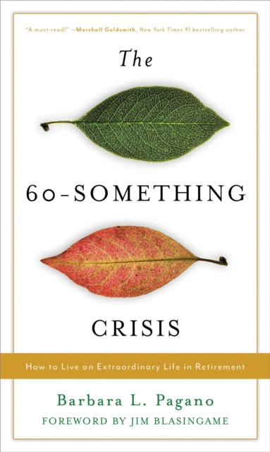 Book cover of: 60-Something Crisis. By: Barbara L. Pagano