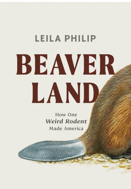 Book cover of: Beaverland. By: Leila Philip
