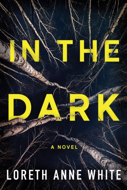 Book cover of: In the Dark