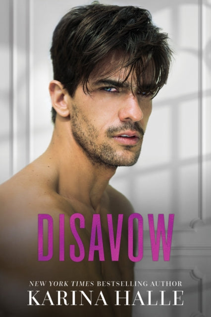 Book cover of: Disavow. By: Karina Halle