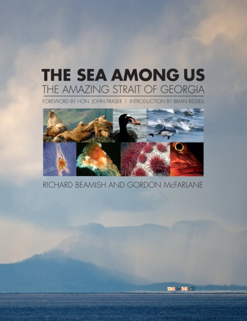 Book cover of: Sea Among Us. By: Richard Beamish