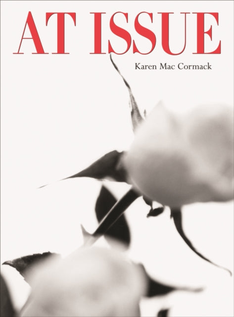 Book cover of: At Issue