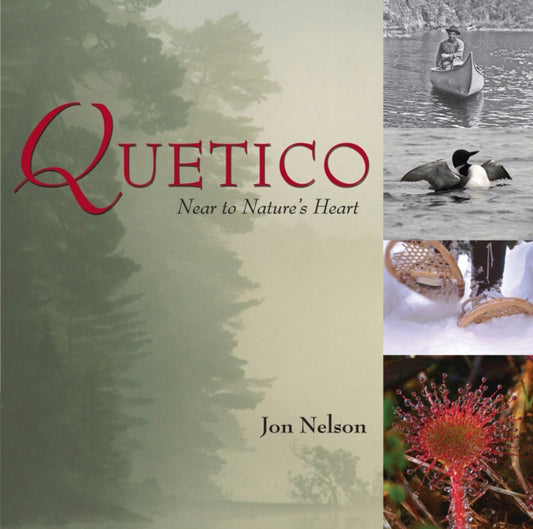 Book cover of: Quetico. By: Jon Nelson