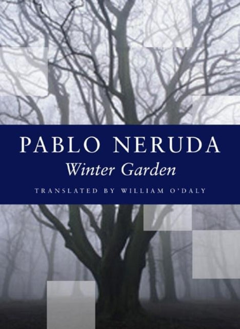 Book cover of: Winter Garden