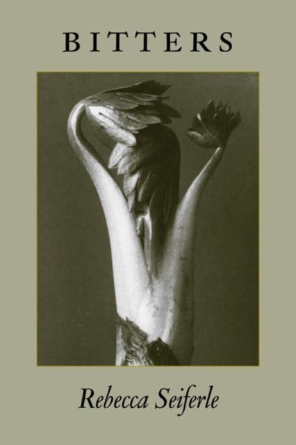 Book cover of: Bitters