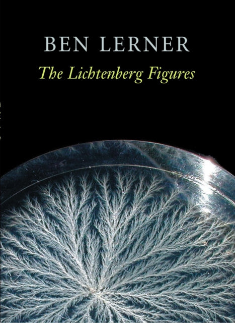 Book cover of: Lichtenberg Figures