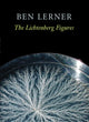 Book cover of: Lichtenberg Figures