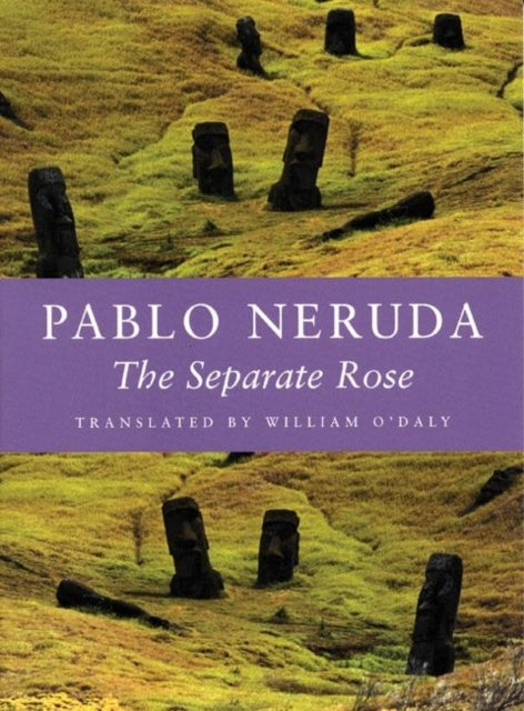Book cover of: Separate Rose