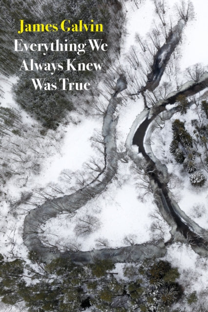 Book cover of: Everything We Always Knew Was True. By: James Galvin