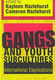 Book cover of: Gangs and Youth Subcultures