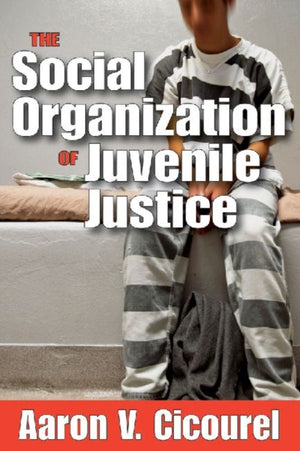 The Social Organization of Juvenile Justice