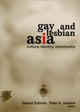 Book cover of: Gay and Lesbian Asia