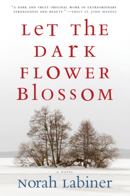 Book cover of: Let the Dark Flower Blossom