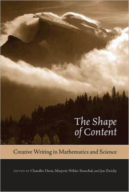 Book cover of: Shape of Content