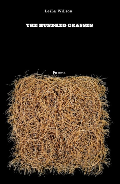 Book cover of: Hundred Grasses. By: Leila Wilson