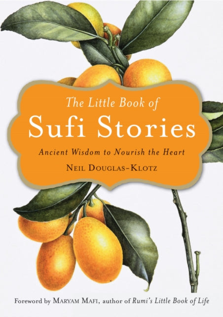 Book cover of: Little Book of Sufi Stories. By: Neil Douglas-Klotz
