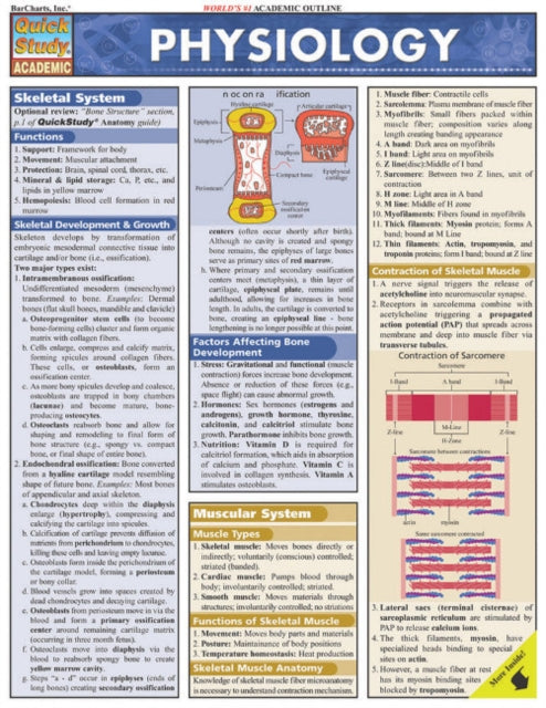 Book cover of: Physiology. By: W. Randy Brooks