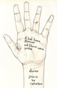 Book cover of: It Had Been Planned and There Were Guides. By: Jessica Lee Richardson