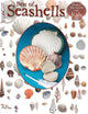 Book cover of: Best Book Of Seashells