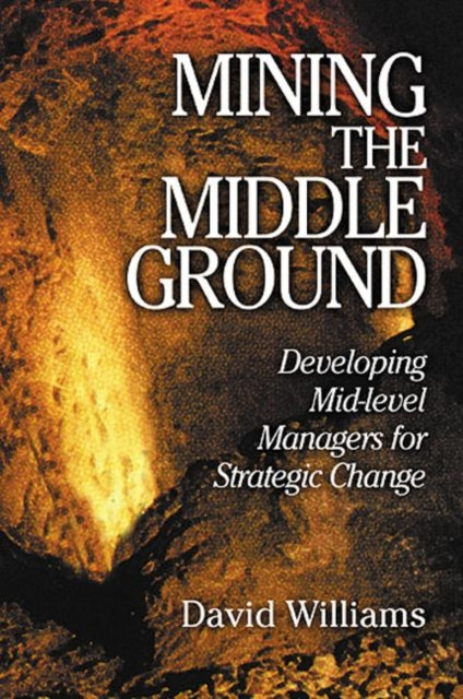 Mining The Middle Ground